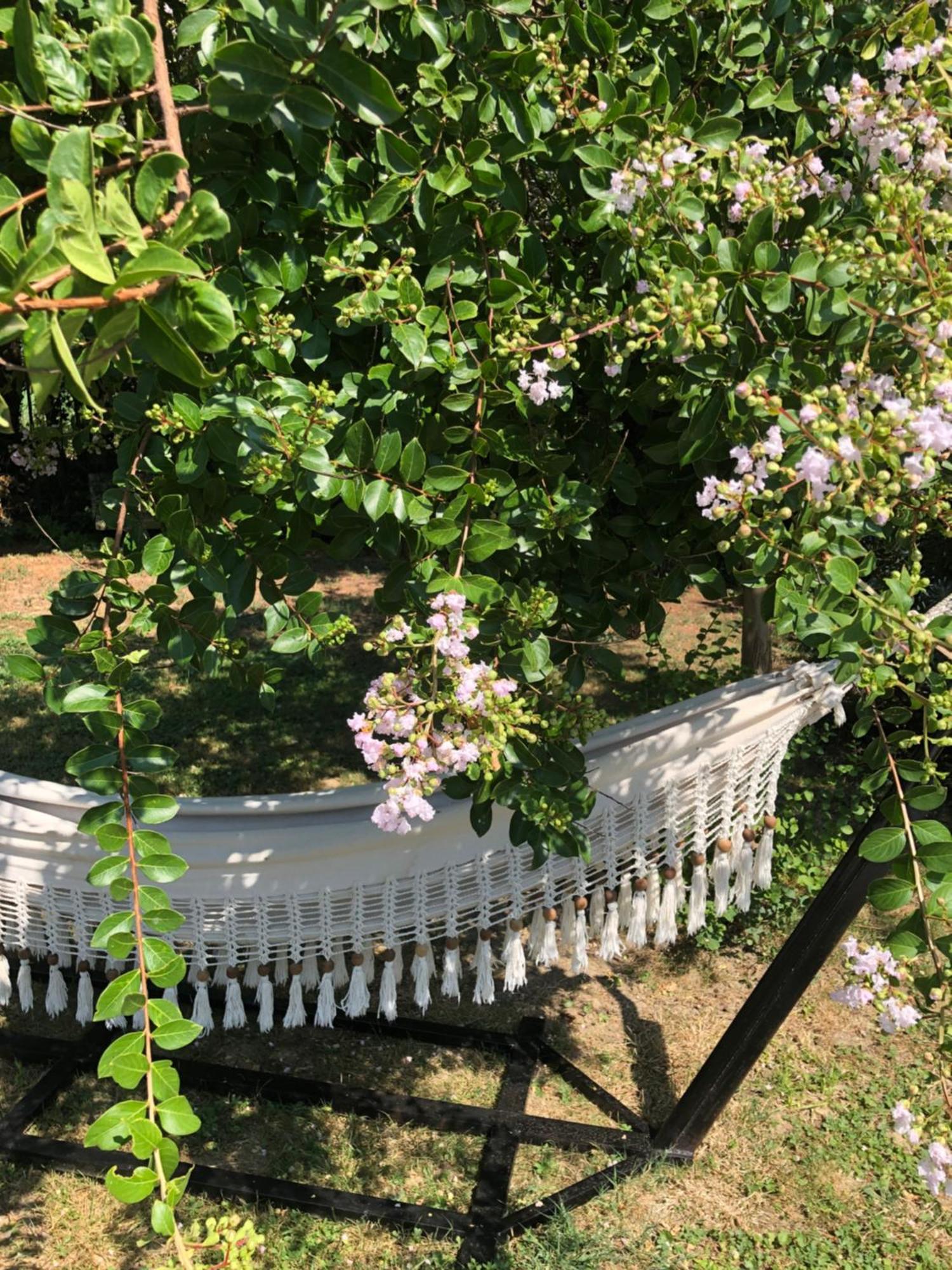La Bastide De Negra Bed & Breakfast Montesquieu-Lauragais Exterior foto